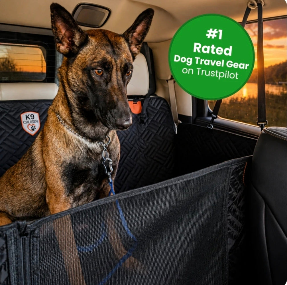 Hard Bottom Dog Seat Protector