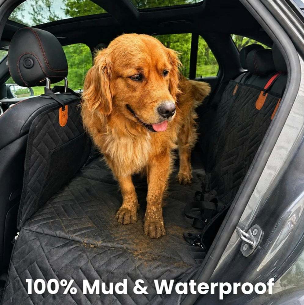 Hard Bottom Dog Seat Protector