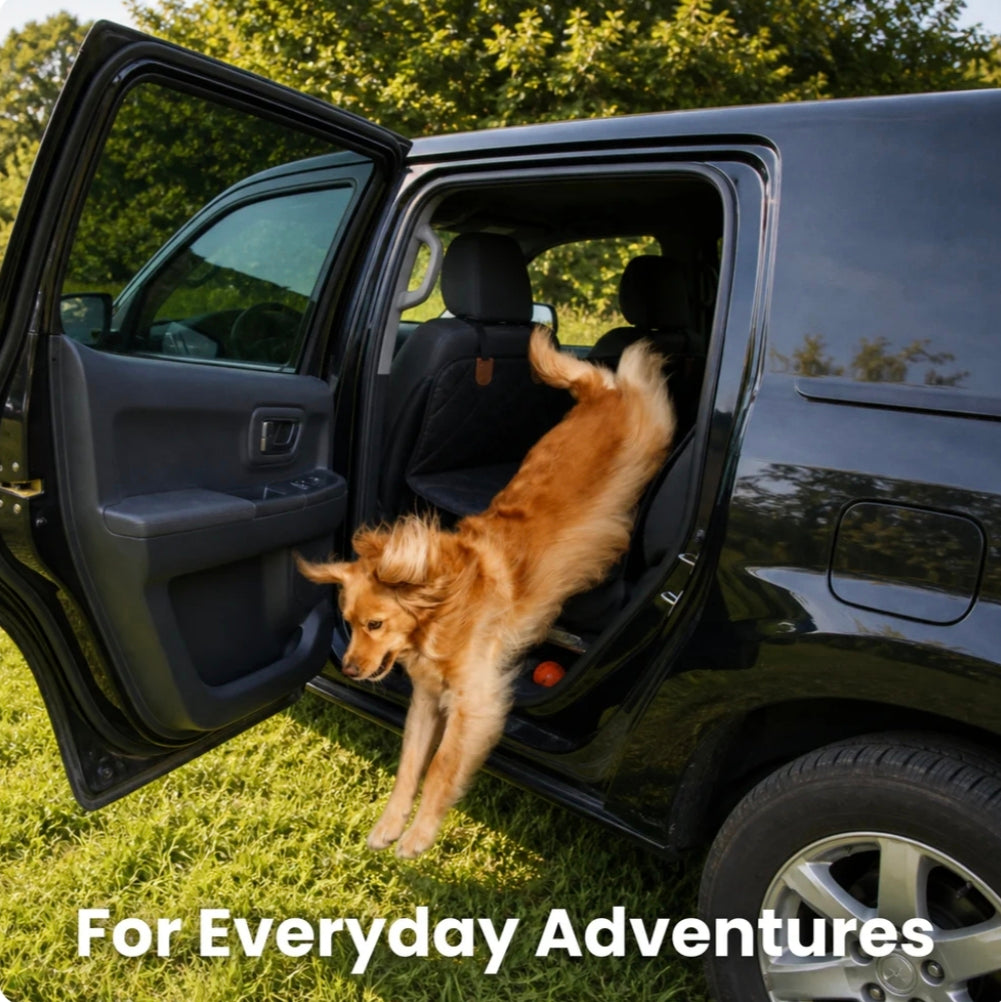 Hard Bottom Dog Seat Protector